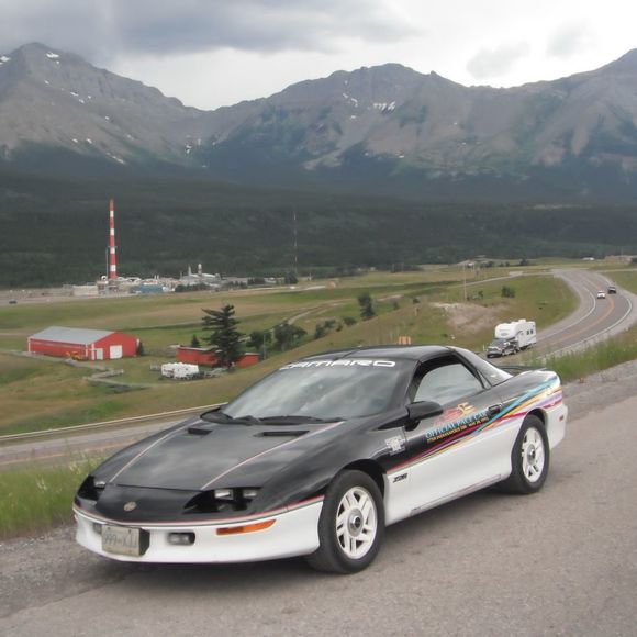 Meet your Posher, Tammy - Picture 1 of 1